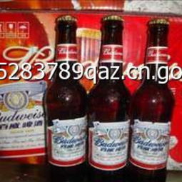 宇佳啤酒 品質(zhì)與創(chuàng)新的完美融合，最新產(chǎn)品展示與創(chuàng)業(yè)商機解析